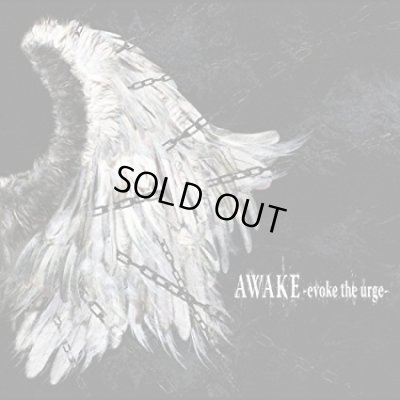 画像1: 【CD」 AWAKE-evoke the urge-