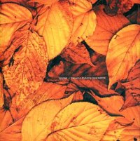 【CD】 DEAD LEAVES SHOWER