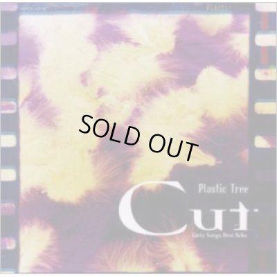 画像1: 【CD】 Cut