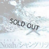 【CD】 Noah/シャングリラ 【通常盤】 新品未開封