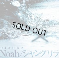 【CD】 Noah/シャングリラ 【通常盤】 新品未開封