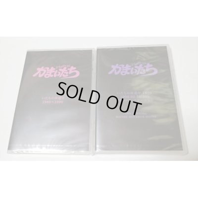 画像1: 【DVD】 限定ライブDVD2枚セット