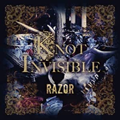 画像1: 【CD】 KNOT INVISIBLE