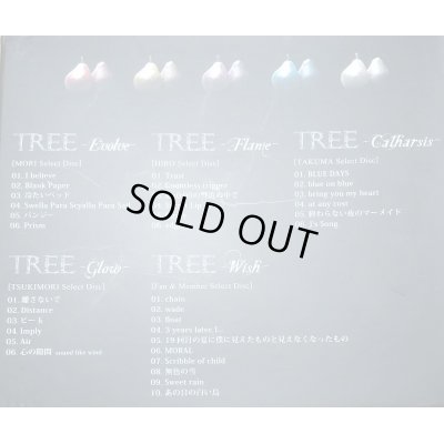 画像2: 【CD】TREE  限定盤