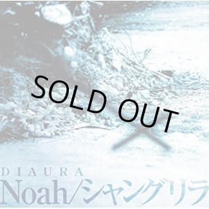 画像: 【CD】 Noah/シャングリラ 【通常盤】 新品未開封