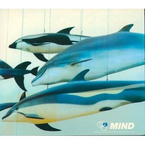 画像: 【CD】 MIND