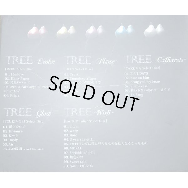 画像2: 【CD】TREE  限定盤 (2)